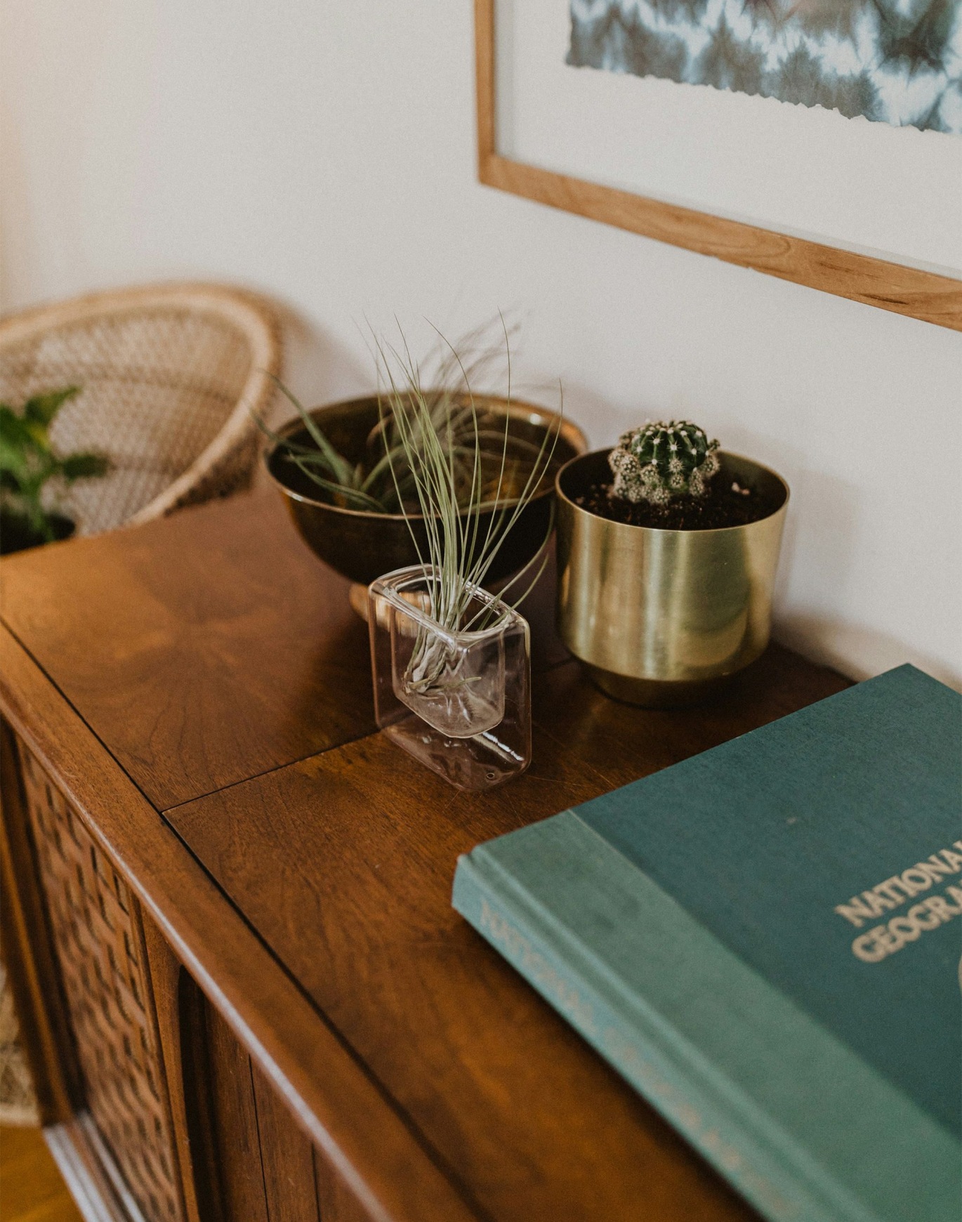 dresser with decor and plant