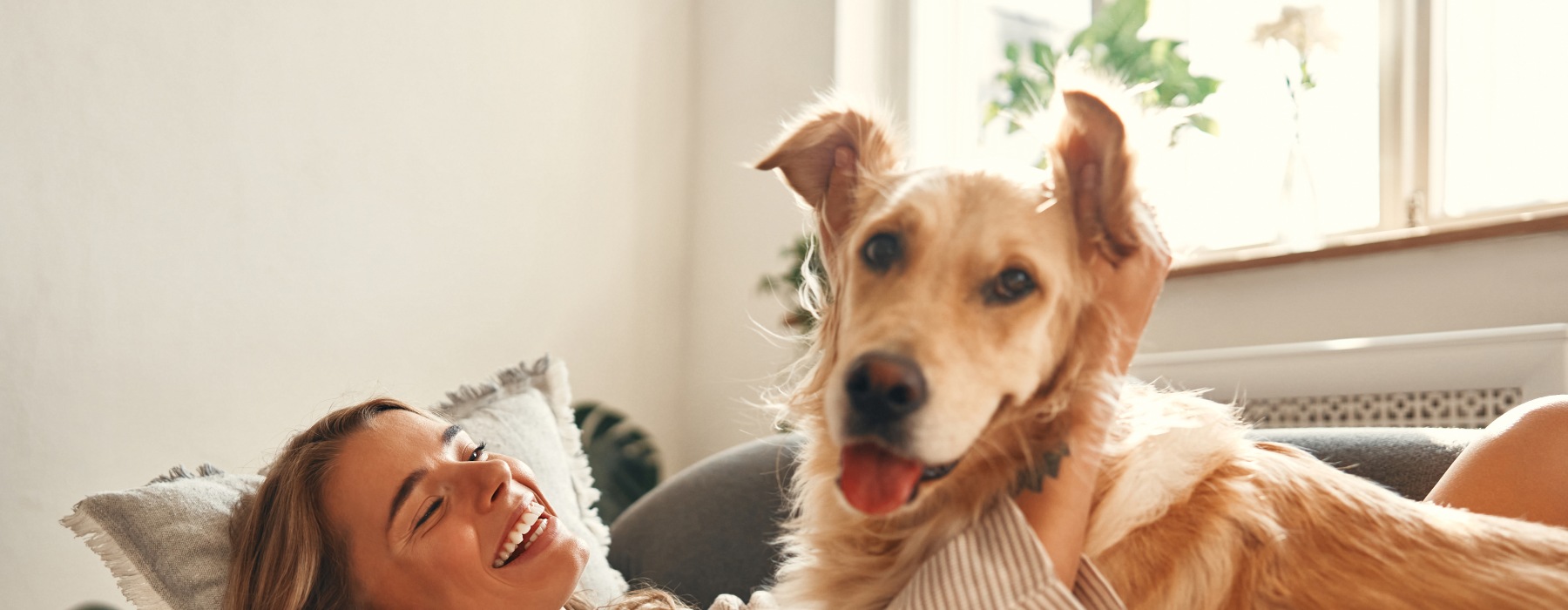 Pet Friendly