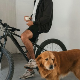 a man on a bike with a dog