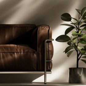 a plant in a pot near a leather couch