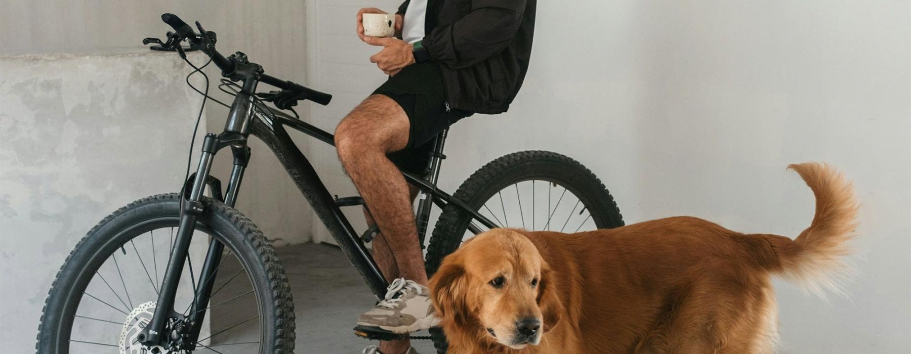 a man sitting on a bike next to a dog